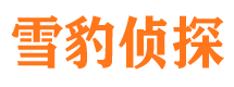 绥江找人公司